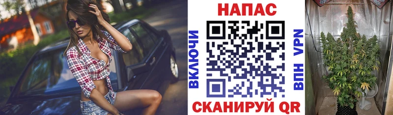 МАРИХУАНА Bruce Banner Певек